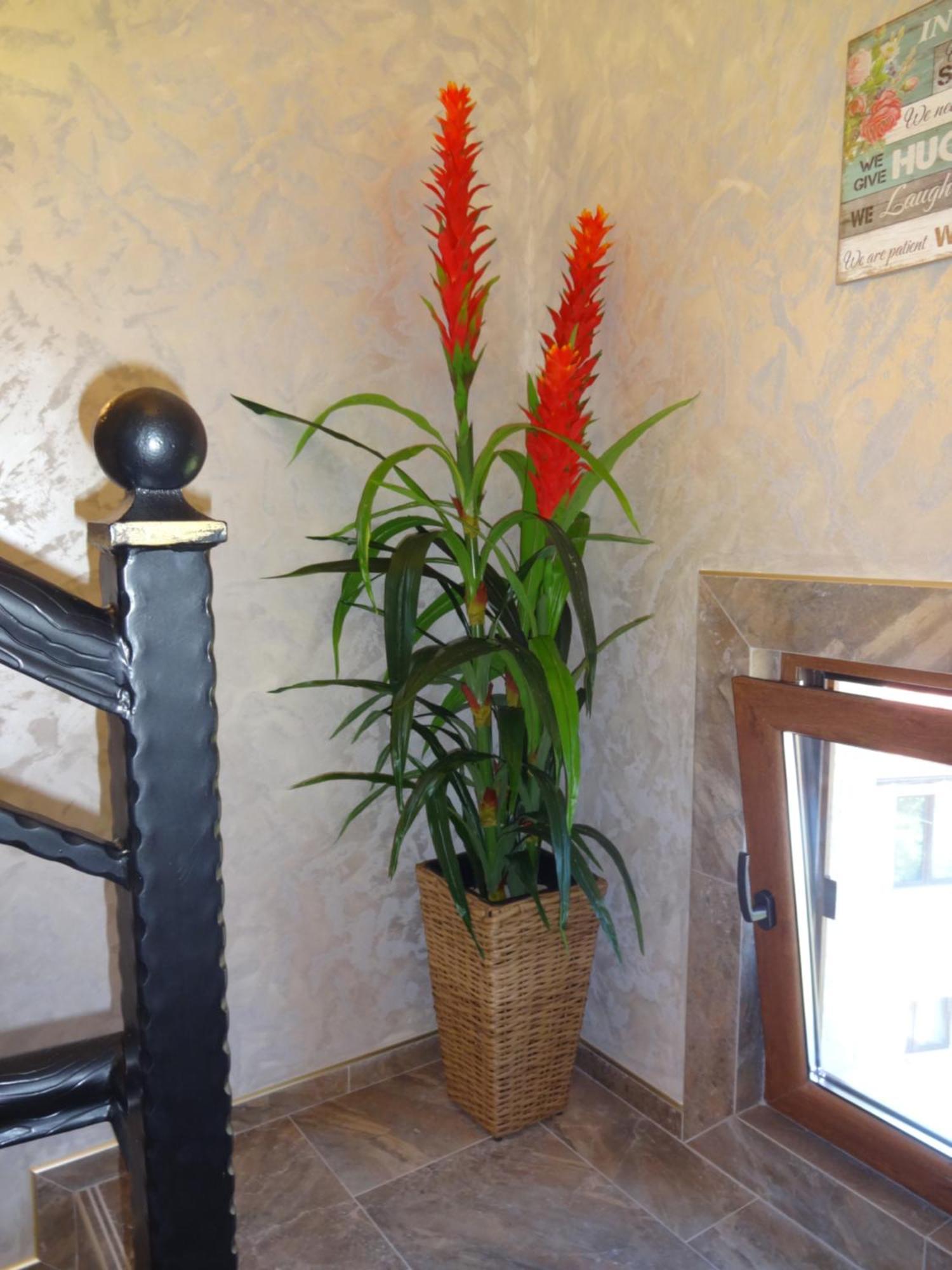 Apartments Dona เชอร์โนโมเรทส์ ภายนอก รูปภาพ